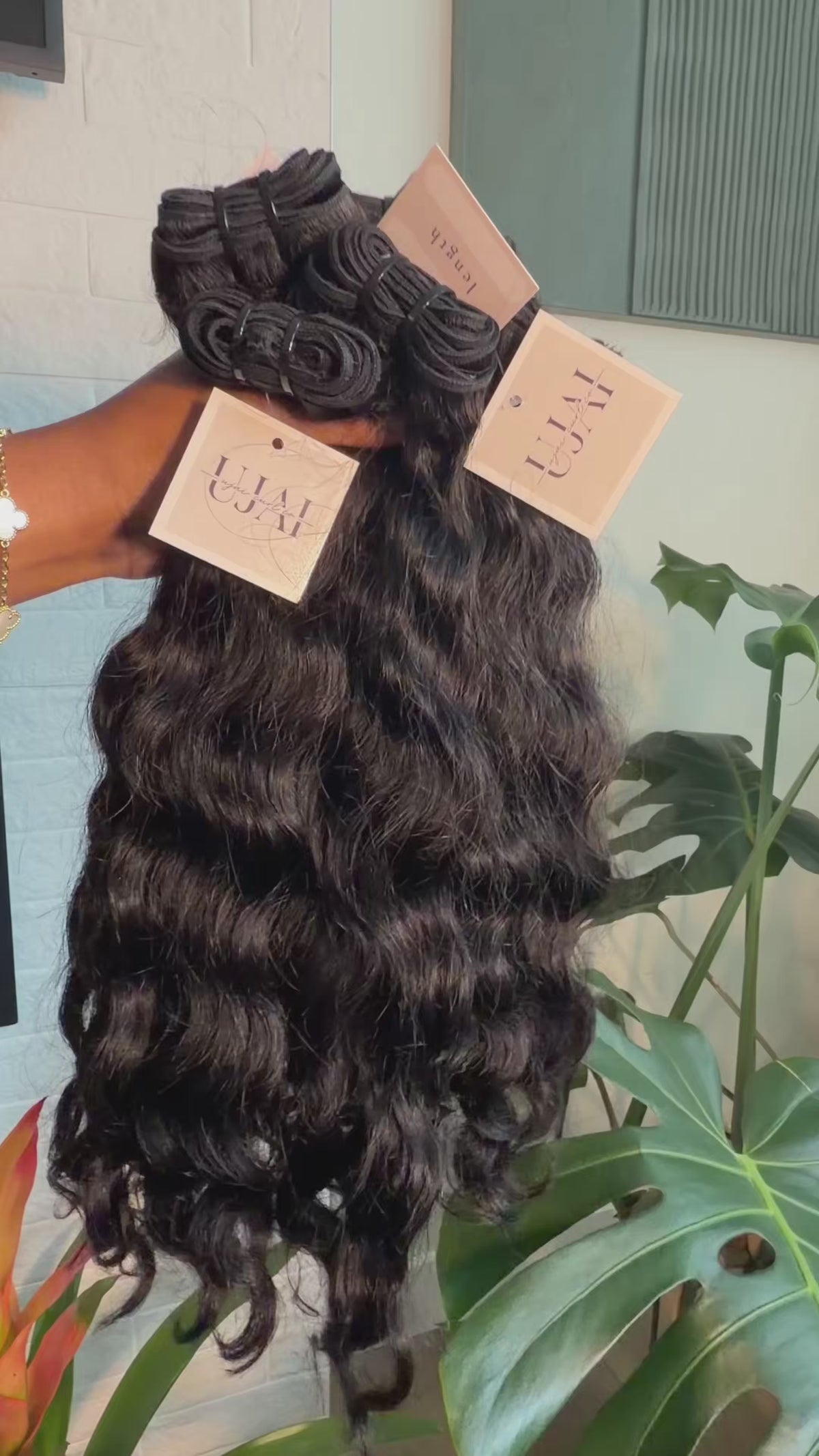 Muse Curly